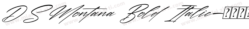 DS Montana Bold Italic字体转换